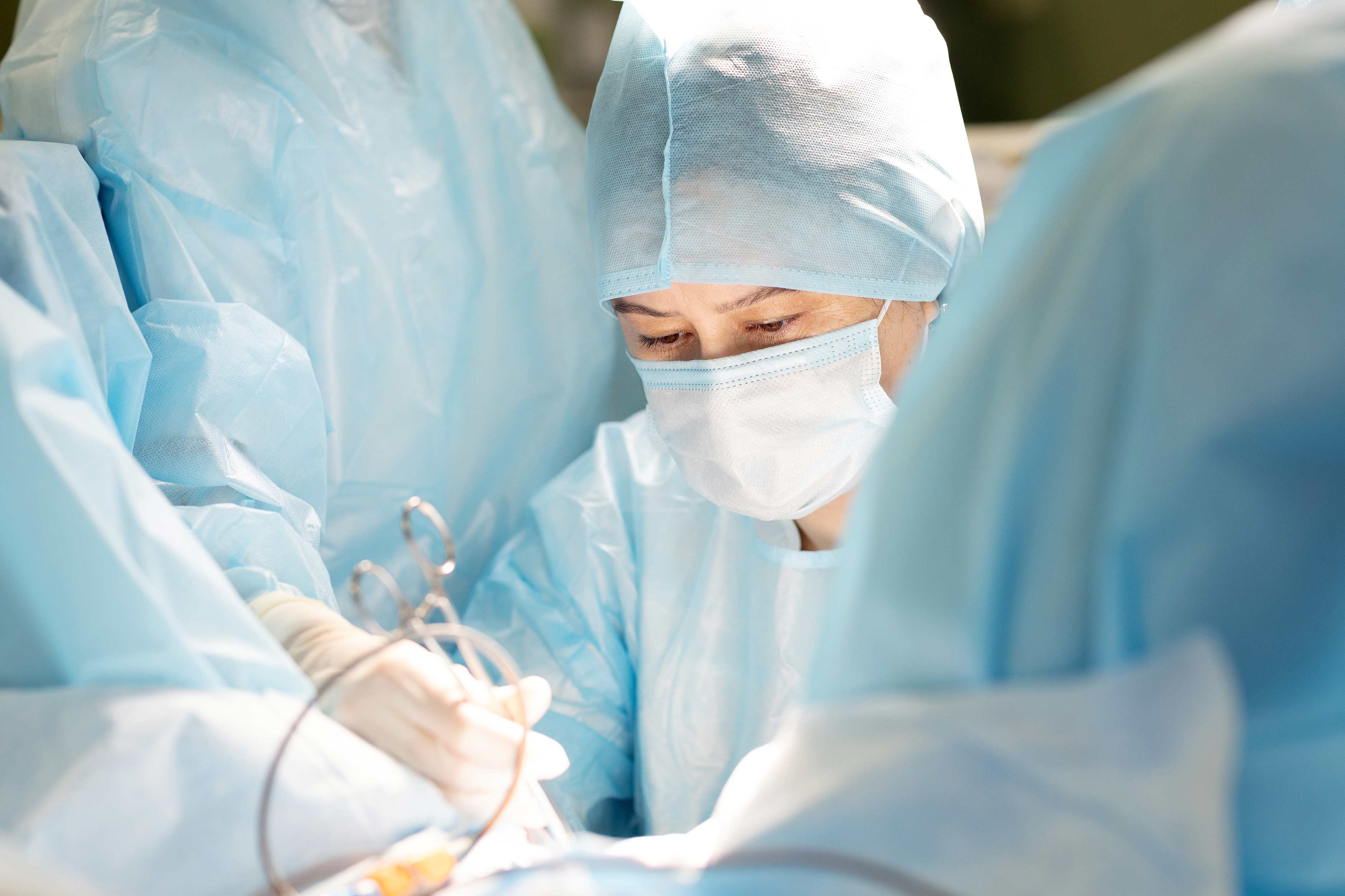 Миниатюра фото 2