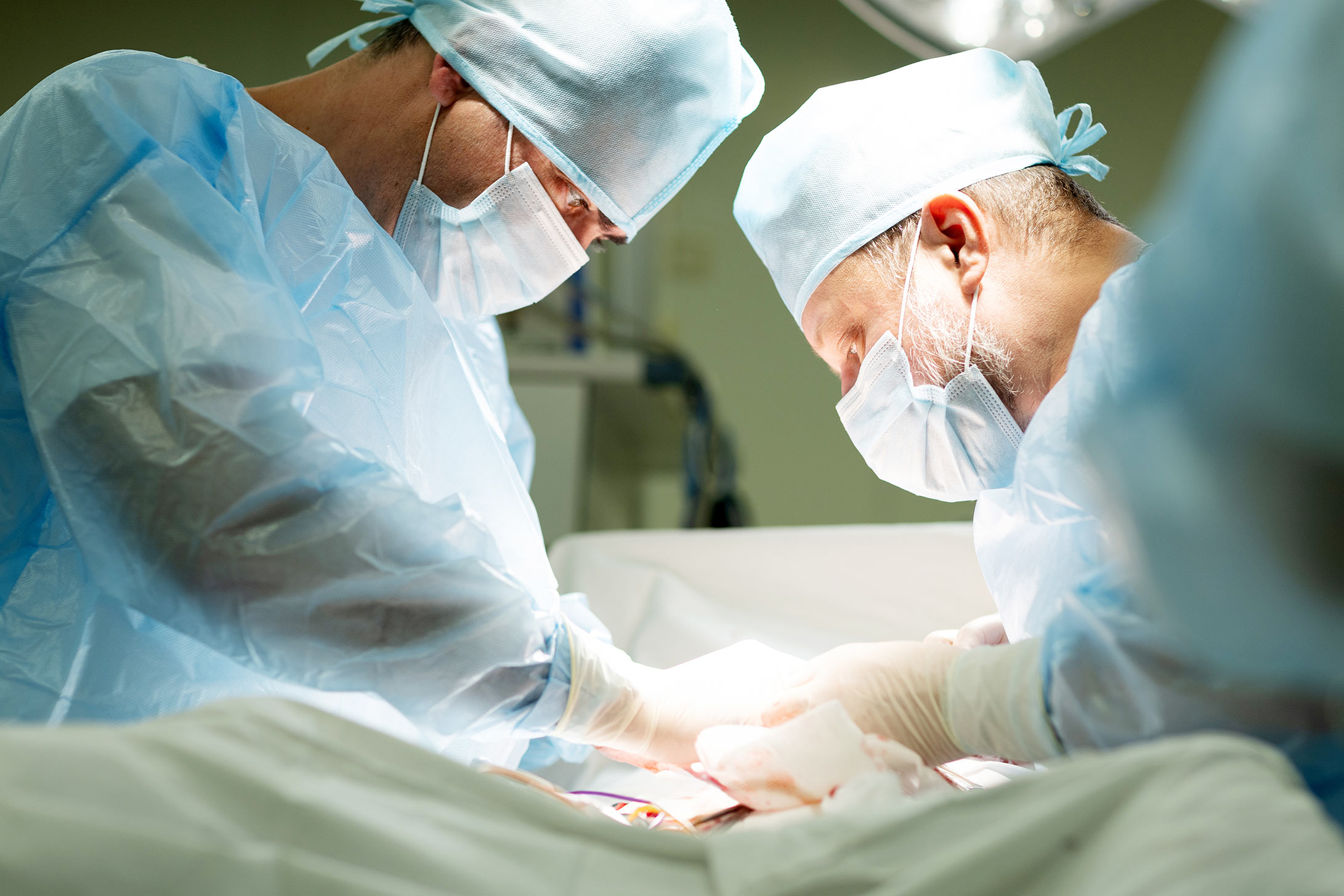 Миниатюра фото 2